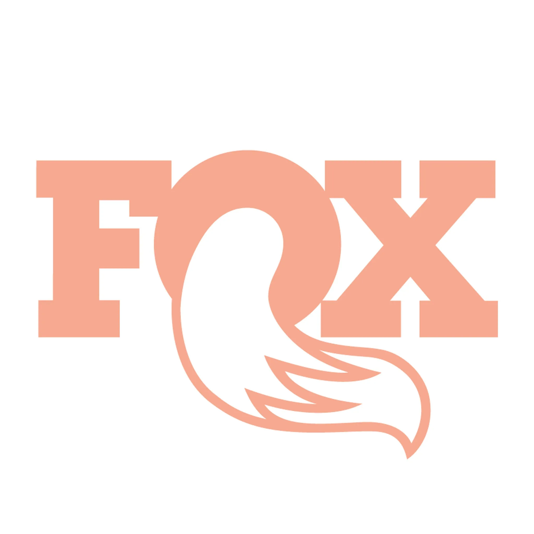 Fox DHX2 Travel spacers