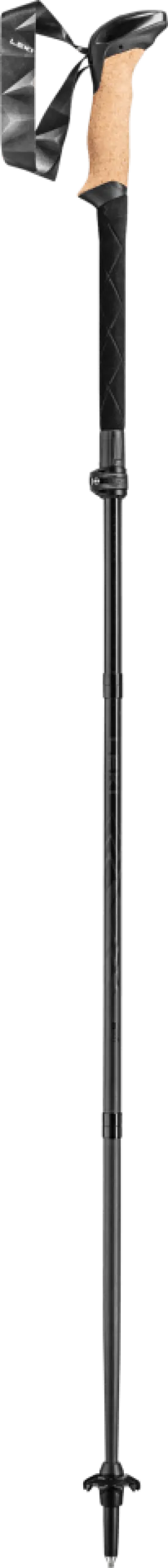 Leki Black Series FX Carbon